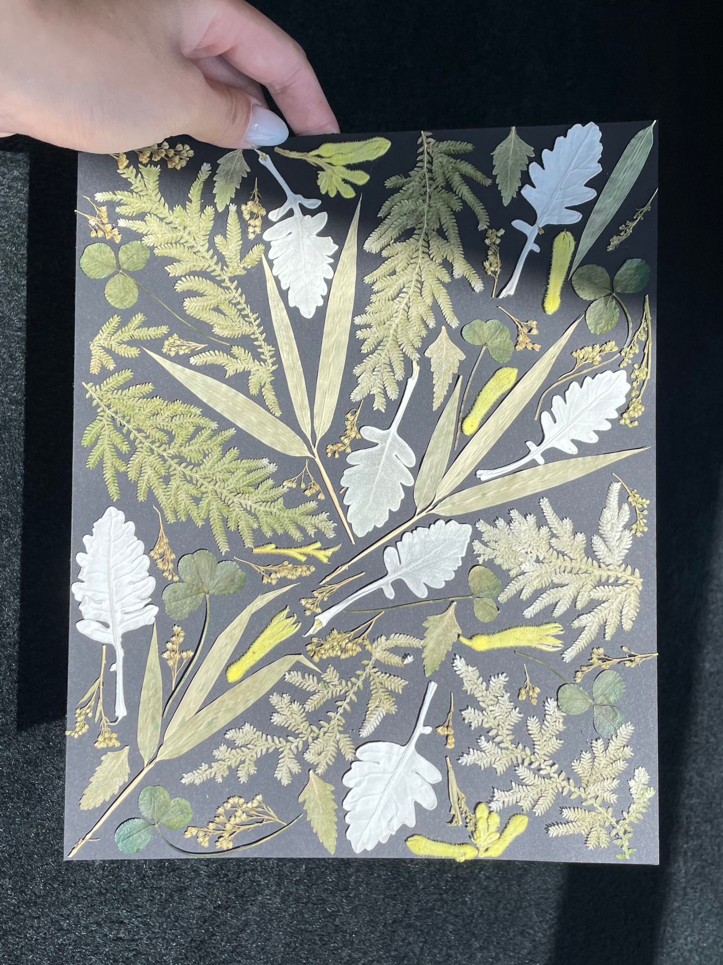 Mosaic Floral Preservation