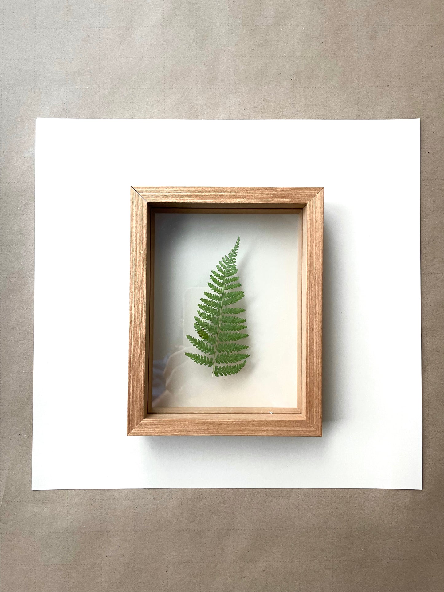 Solitary Leaf