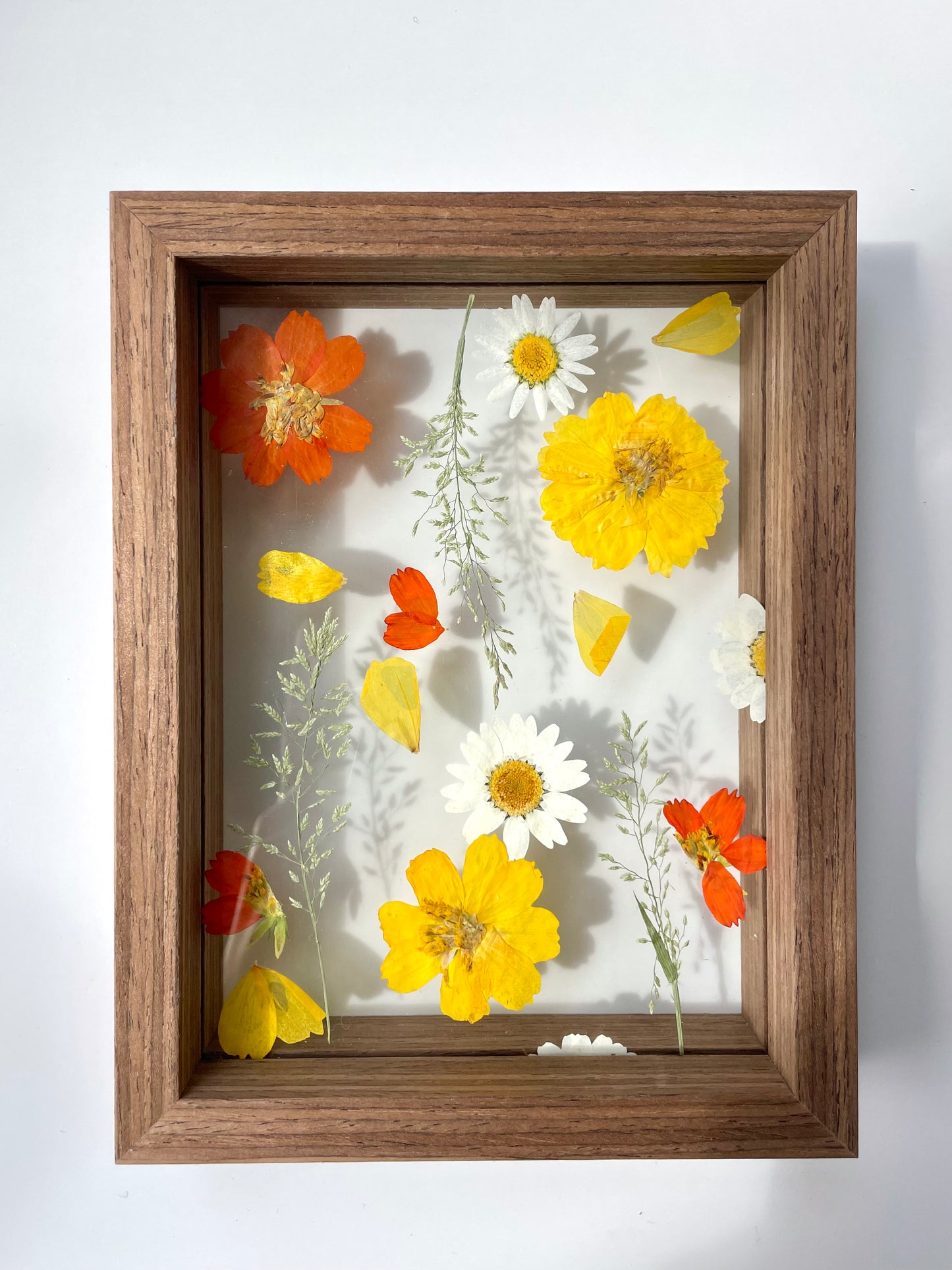 Boutonnieres Solid Wood Preservation Framed Art
