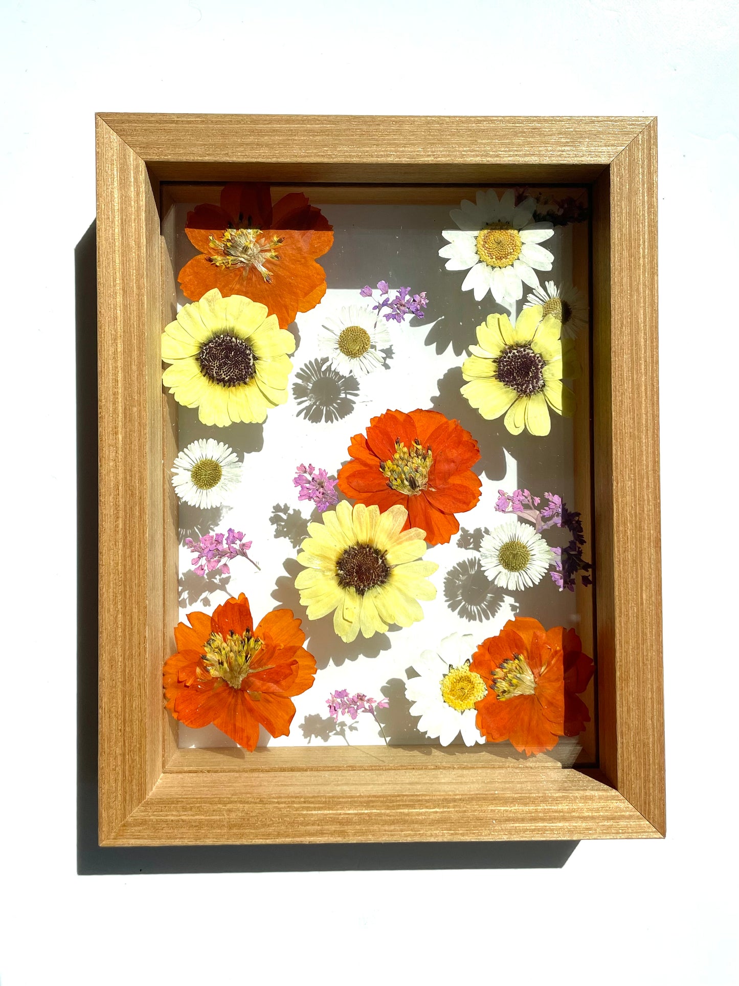 Boutonnieres Solid Wood Preservation Framed Art