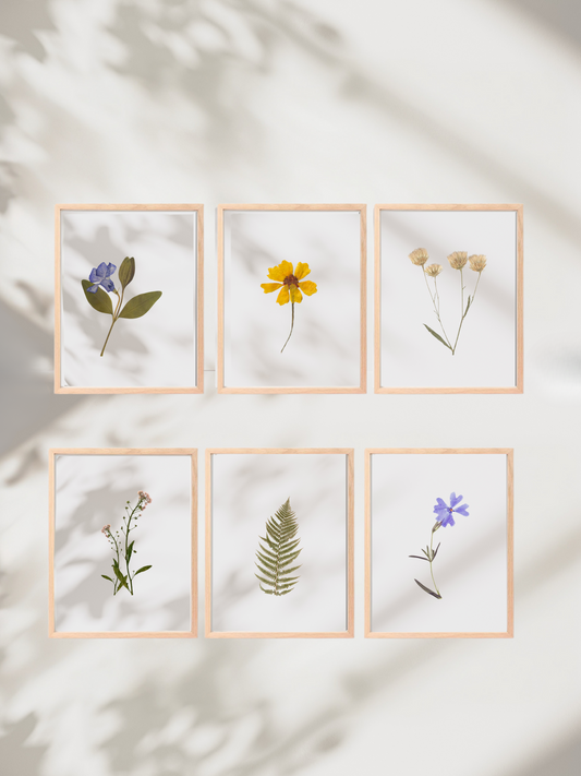 Set of 6 - Minimalist Floating Floral Art (11x14")