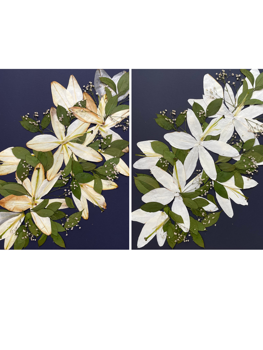 Color Correction