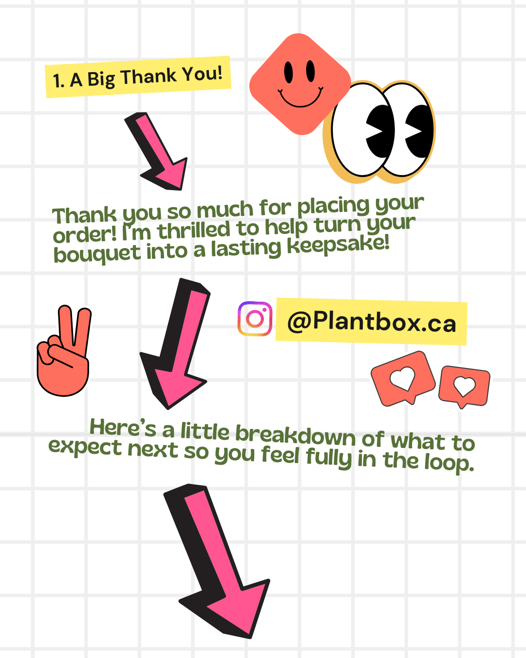 PlantBox BloomToFrame Game Plan 2026