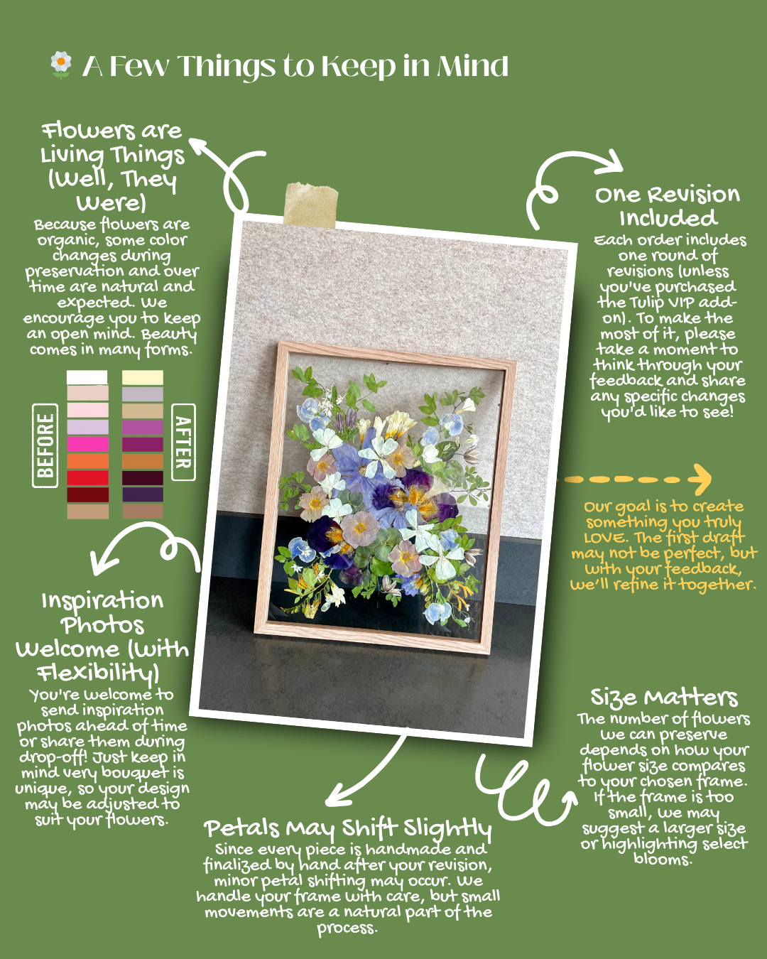 PlantBox BloomToFrame Game Plan 2026
