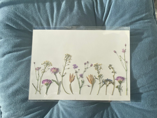 Nature's Palette Pressed Flower Art Collection