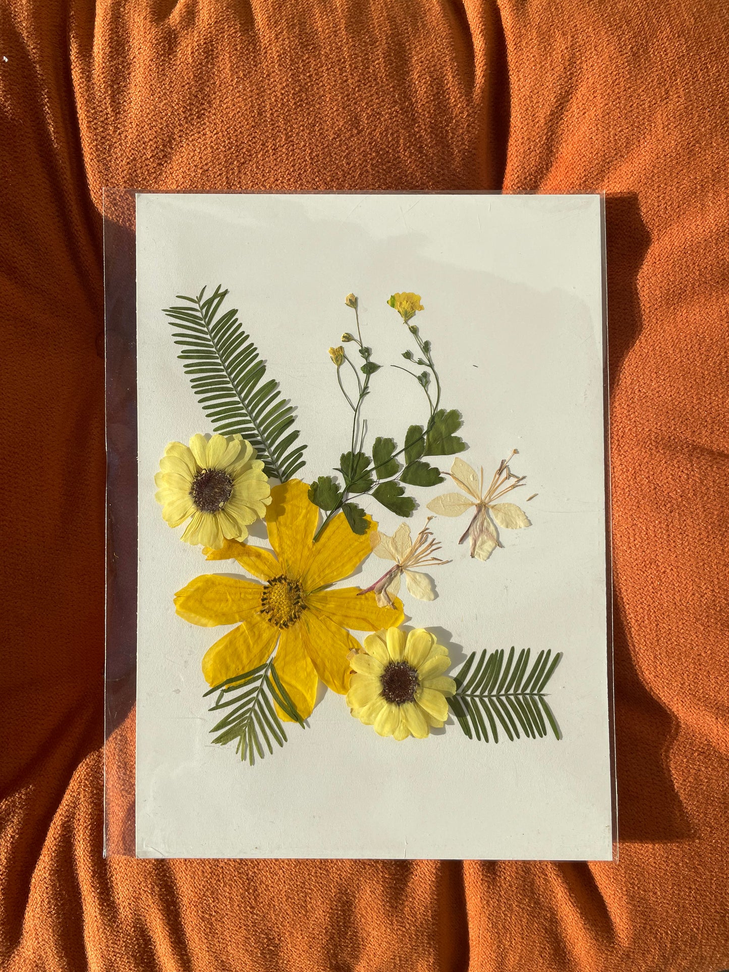 Golden Sunflower Pressed Flower Art