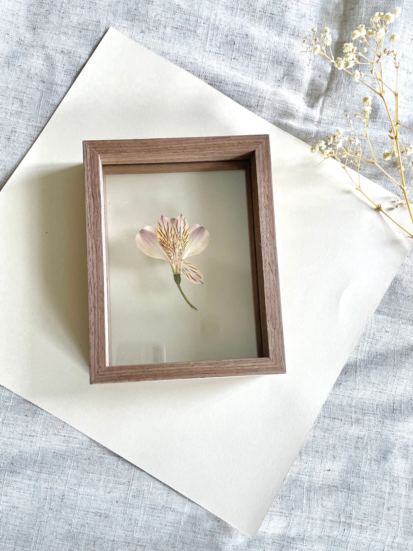 Solitary Elegance - Small Pre-made Pressed Flower Art