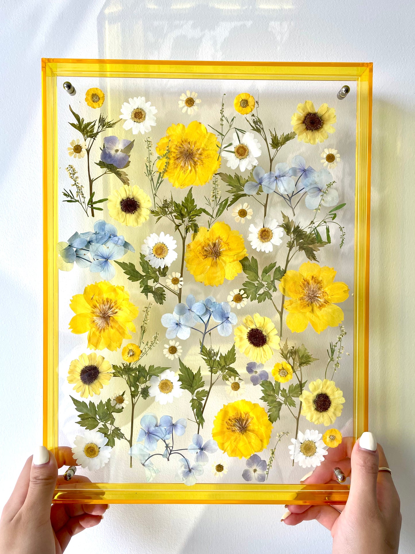 Summer Radiance - Pre-made Pressed Flower Wall Art