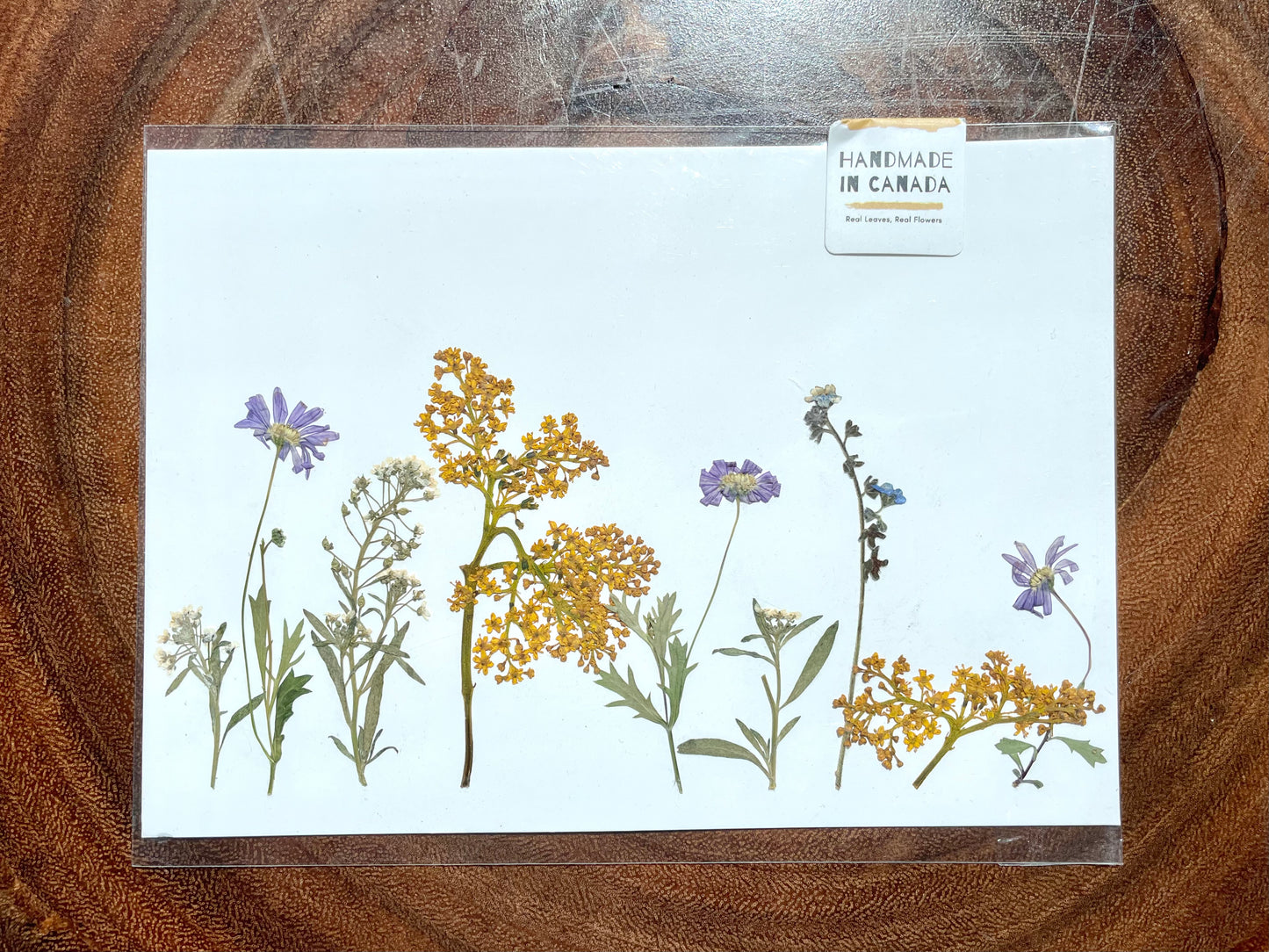 Nature's Palette Pressed Flower Art Collection