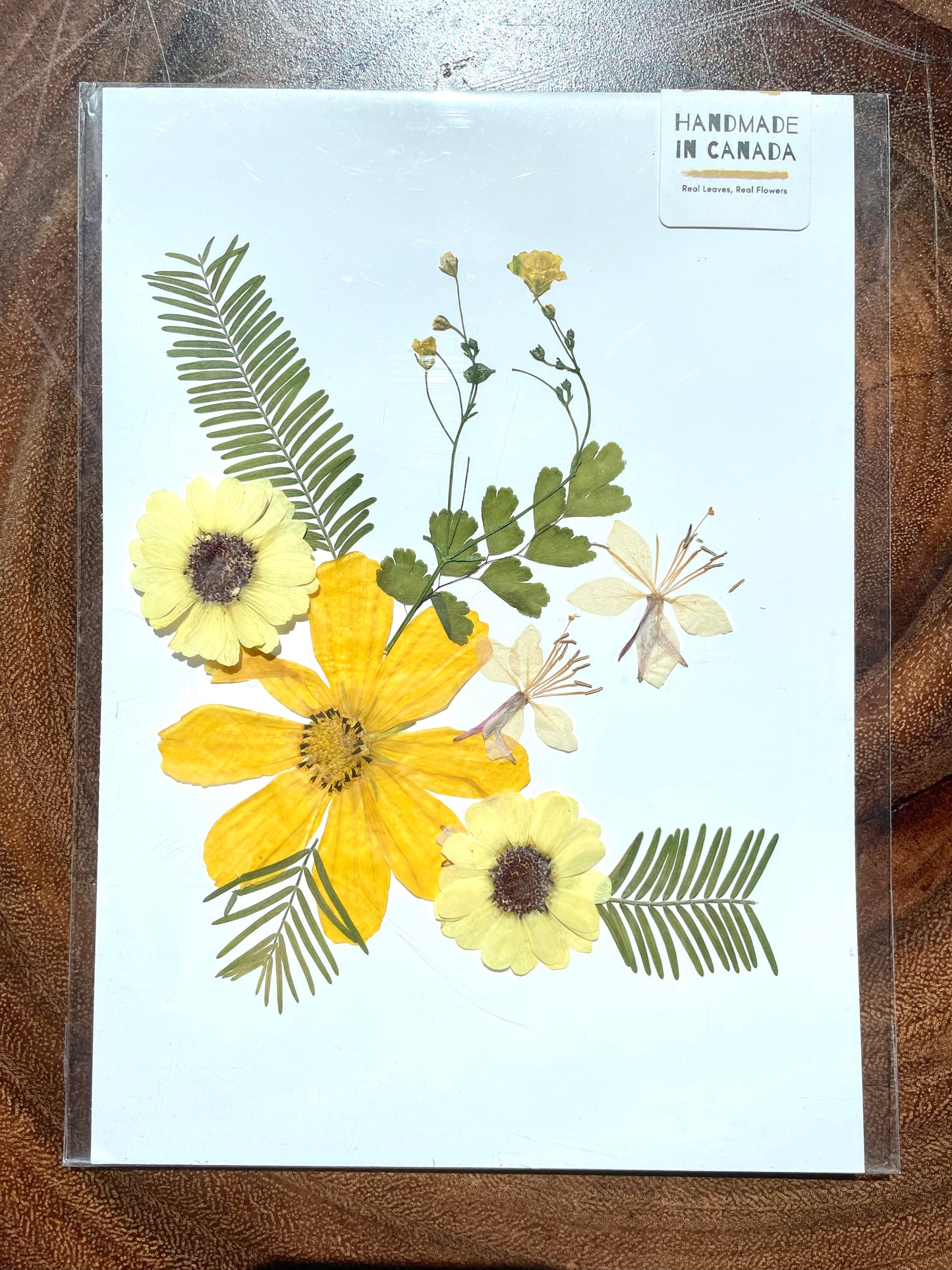 Golden Sunflower Pressed Flower Art