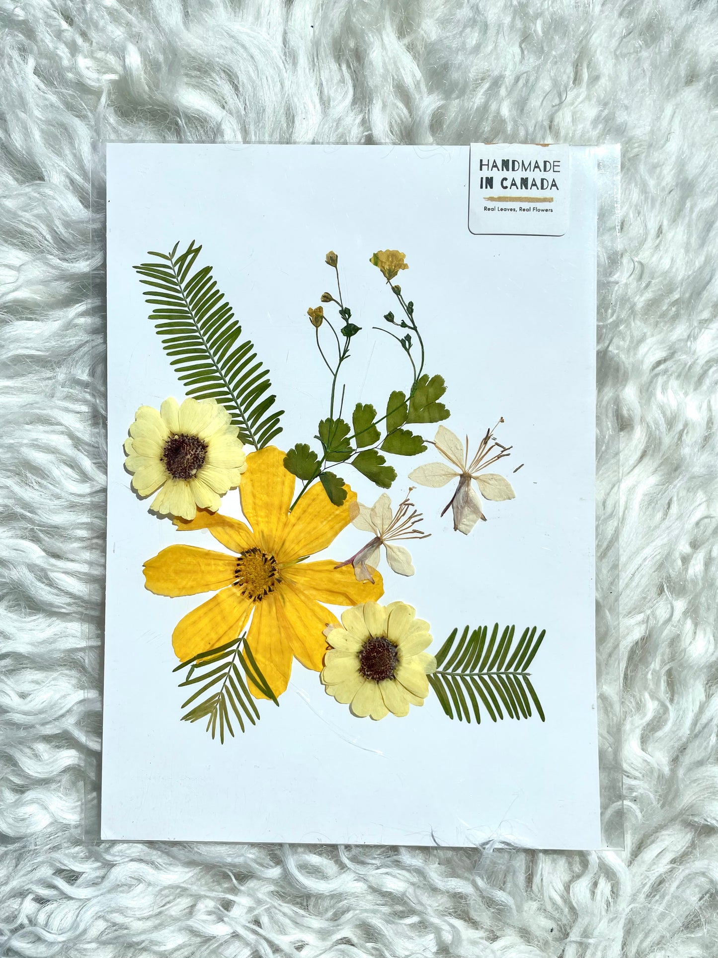 Golden Sunflower Pressed Flower Art