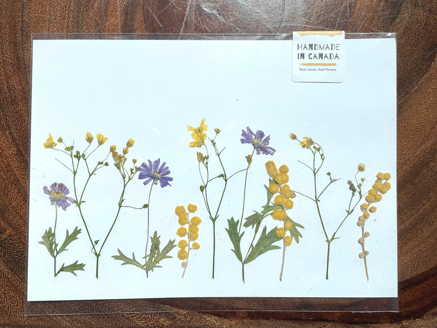 Nature's Palette Pressed Flower Art Collection