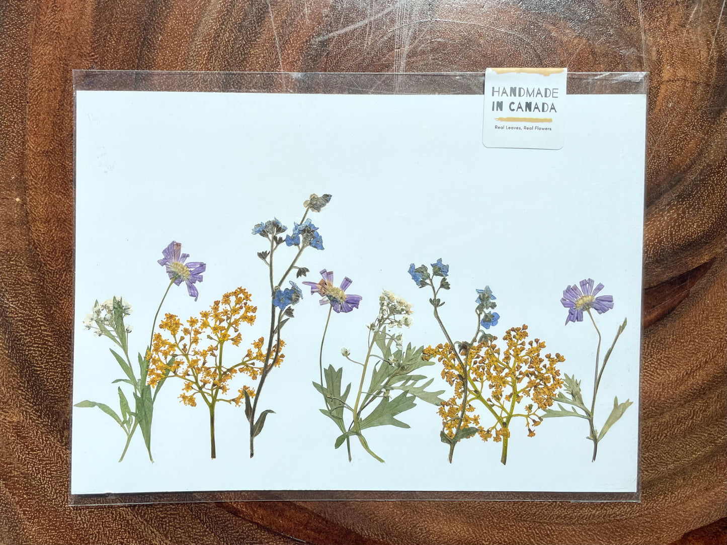 Nature's Palette Pressed Flower Art Collection