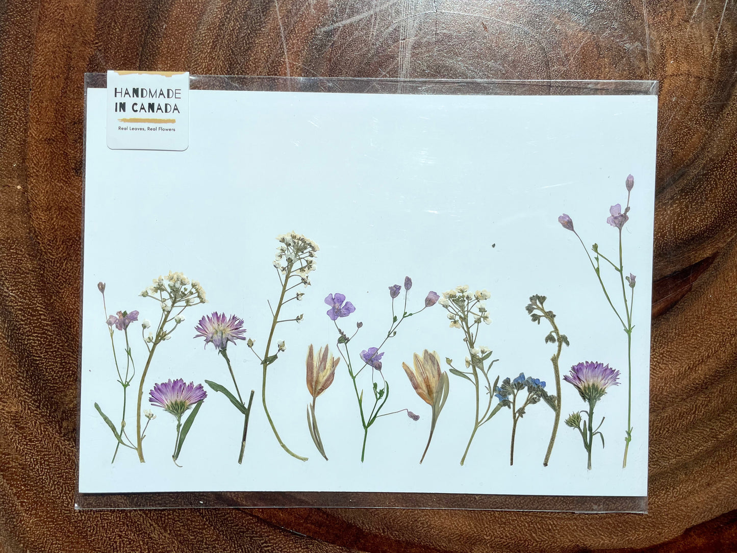 Nature's Palette Pressed Flower Art Collection