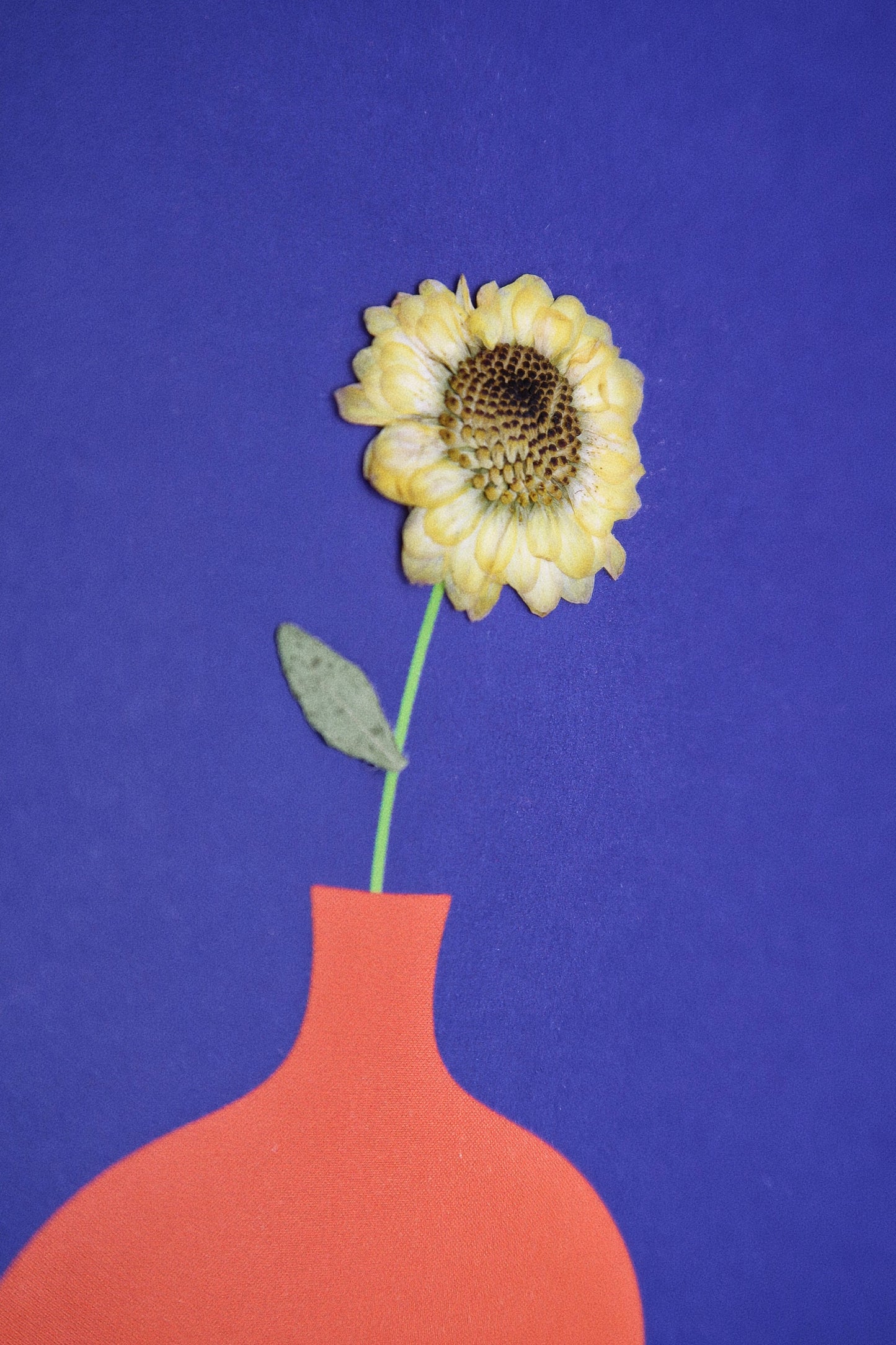 Bauhaus Sunflower Card